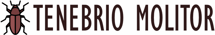 Tenebrio Molitor